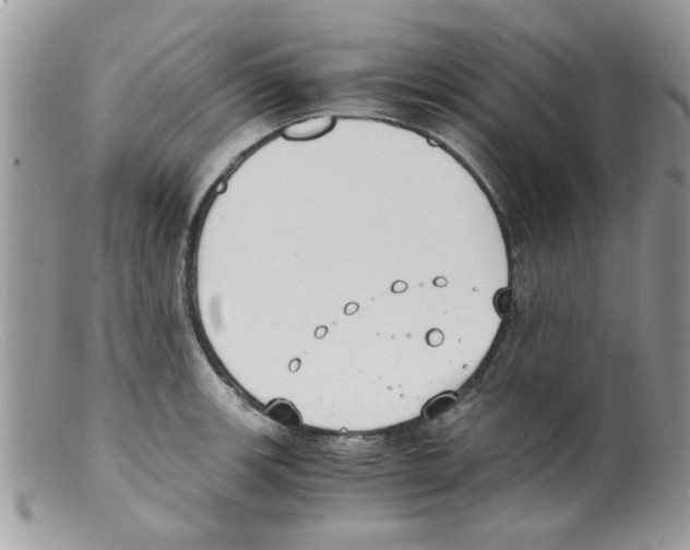 X0000098141139200805151134