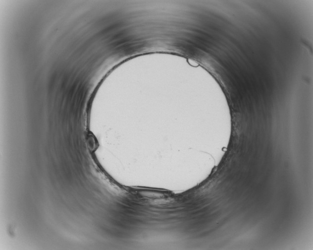 X0000098141140200805151134