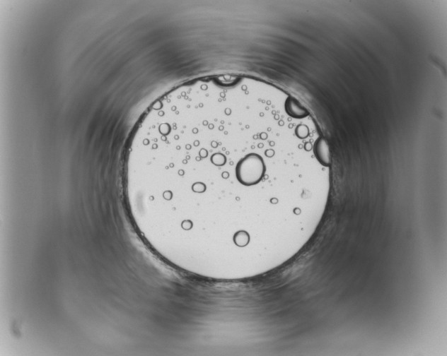 X0000098141142200805151134