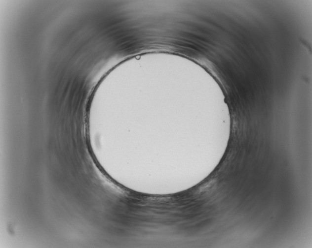 X0000098141143200805151134