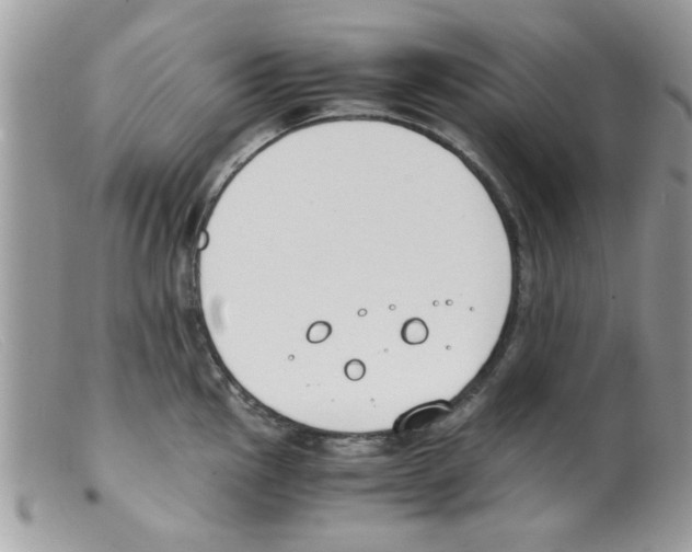 X0000098141145200805151134