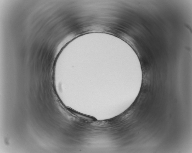 X0000098141146200805151134