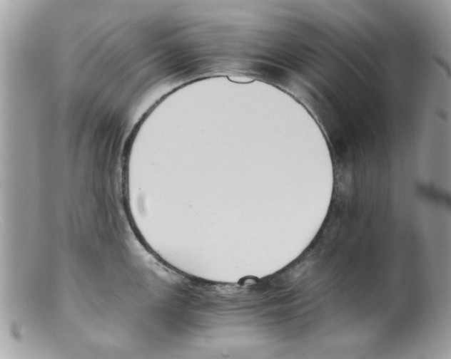 X0000098141147200805151134