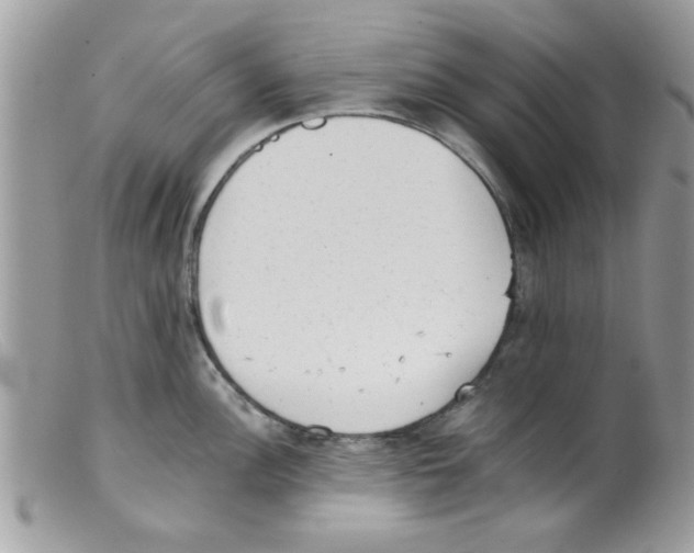 X0000098141148200805151134