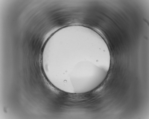 X0000098141149200805151134