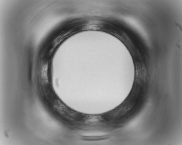 X0000098141150200805151134