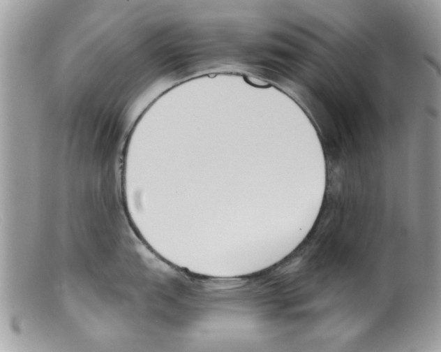 X0000098141151200805151134