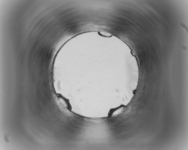 X0000098141152200805151134