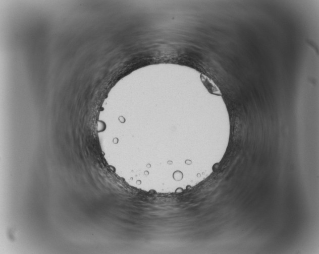 X0000098141153200805151133