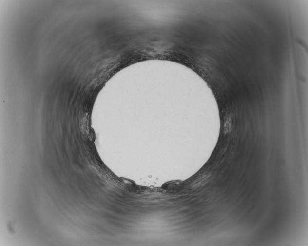 X0000098141156200805151133