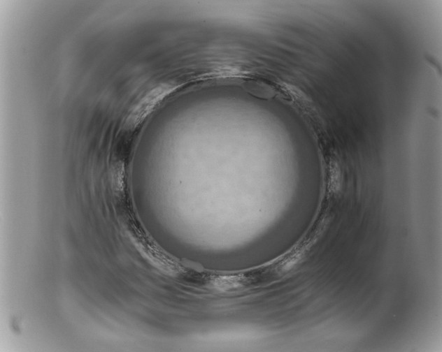 X0000098141161200805151133