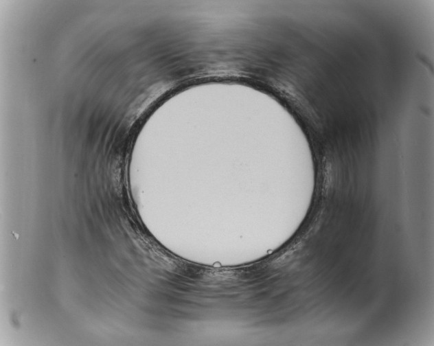 X0000098141162200805151133