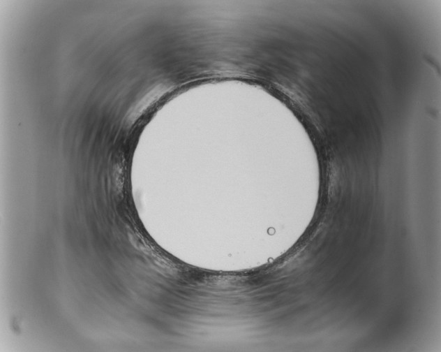 X0000098141163200805151133