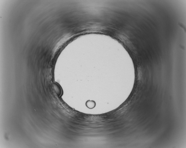 X0000098141164200805151133