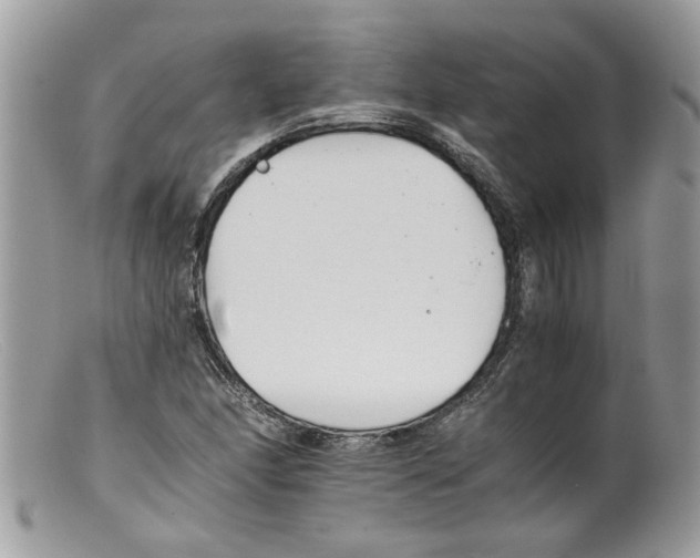 X0000098141166200805151133