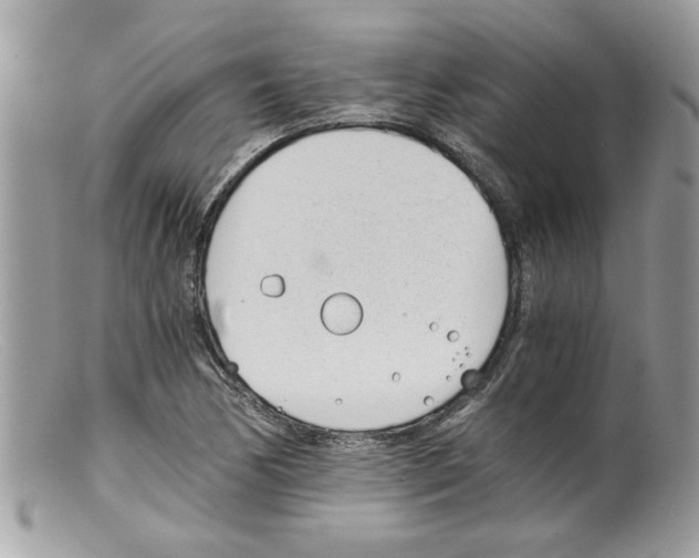 X0000098141170200805151133