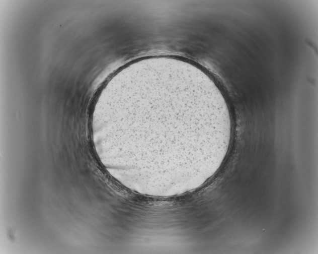 X0000098141173200805151133