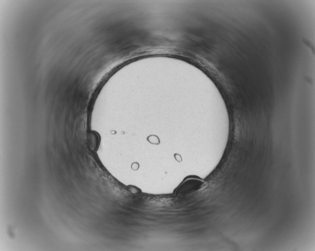 X0000098141174200805151133