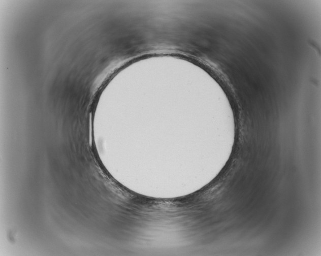 X0000098141175200805151133