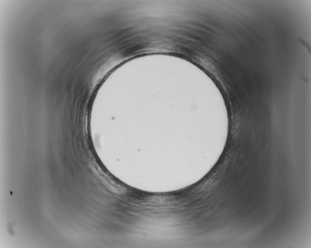 X0000098141179200805151133