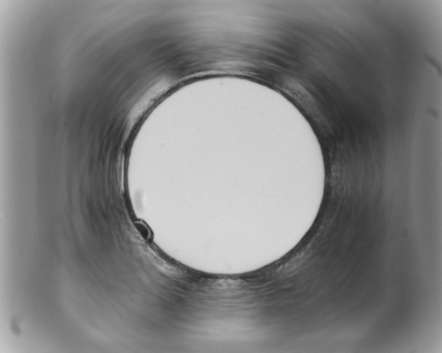 X0000098141180200805151133