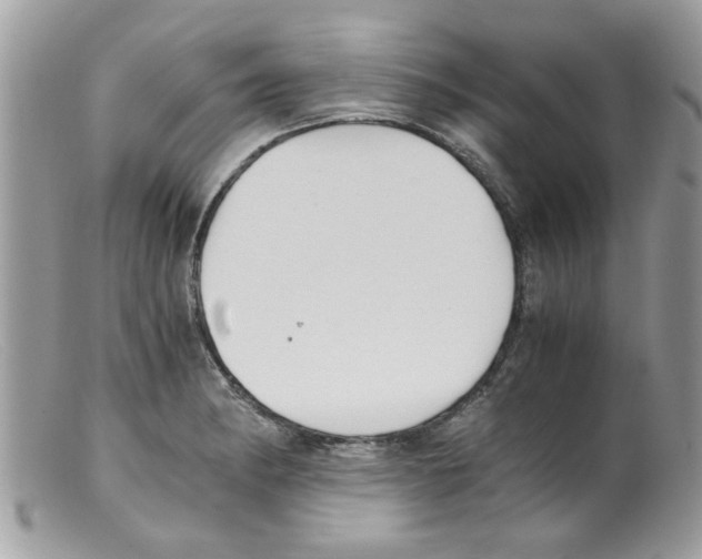 X0000098141182200805151133