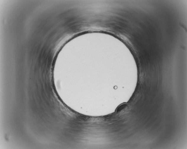 X0000098141183200805151132