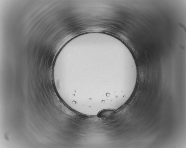 X0000098141186200805151132