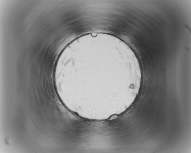 X0000098141189200805151132