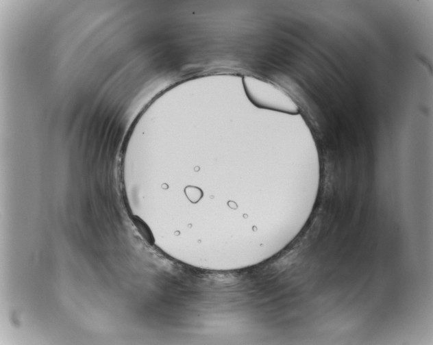 X0000098141190200805151132