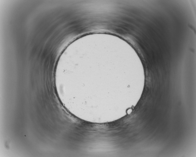 X0000098141191200805151132