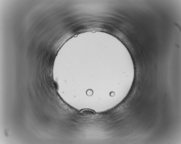 X0000098141193200805151132