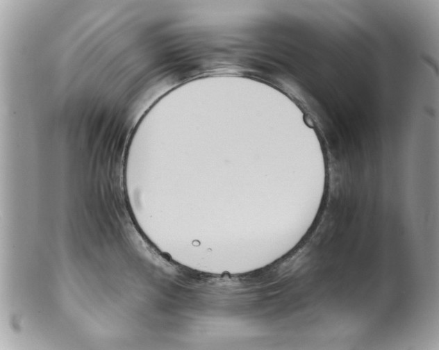 X0000098141194200805151132