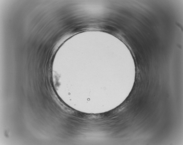 X0000098141195200805151132