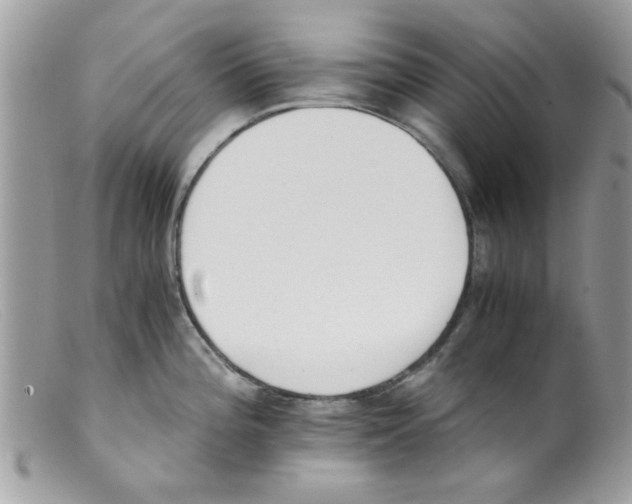 X0000098141196200805151132