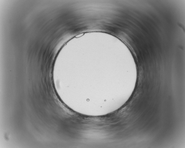 X0000098141197200805151132