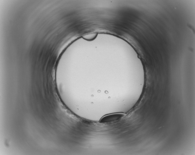 X0000098141198200805151132