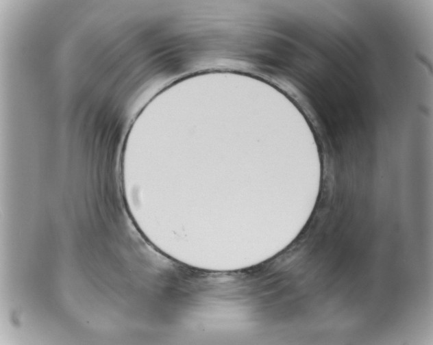 X0000098141199200805151132