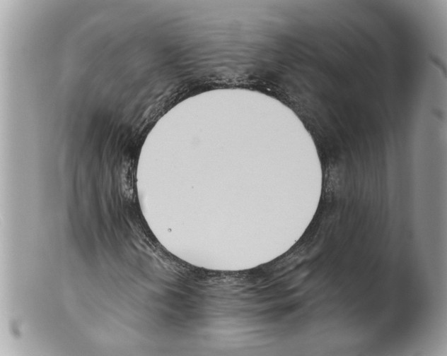 X0000098141202200805151131