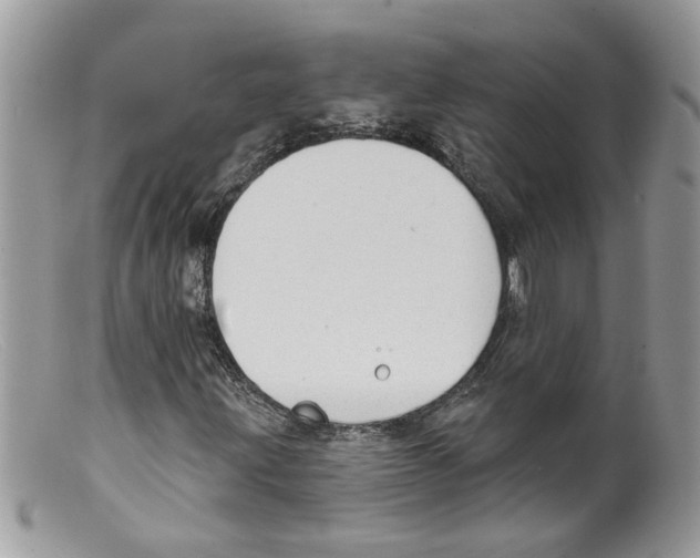 X0000098141203200805151131