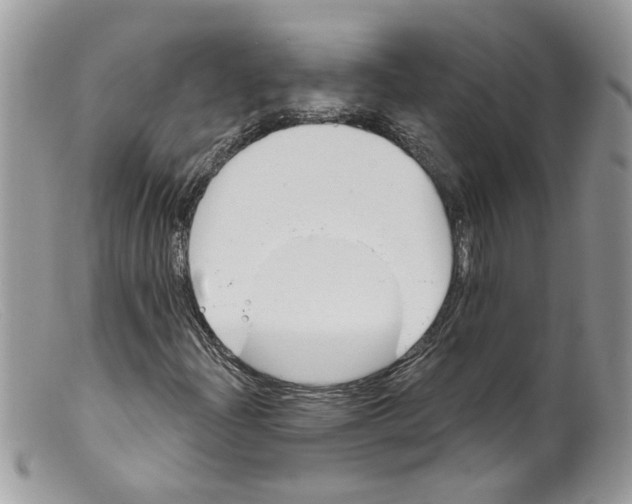 X0000098141204200805151131