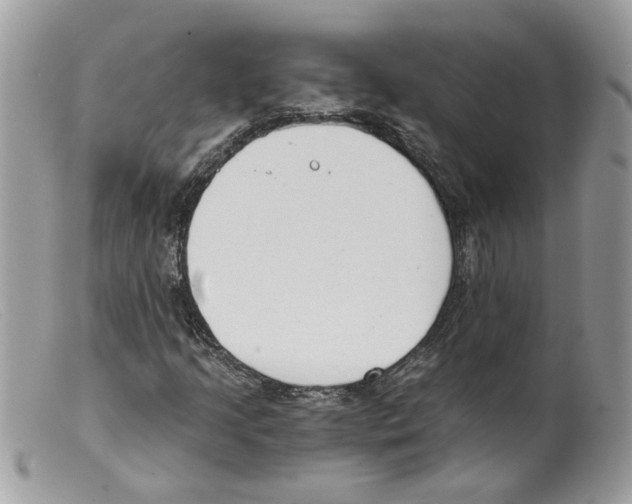 X0000098141205200805151131