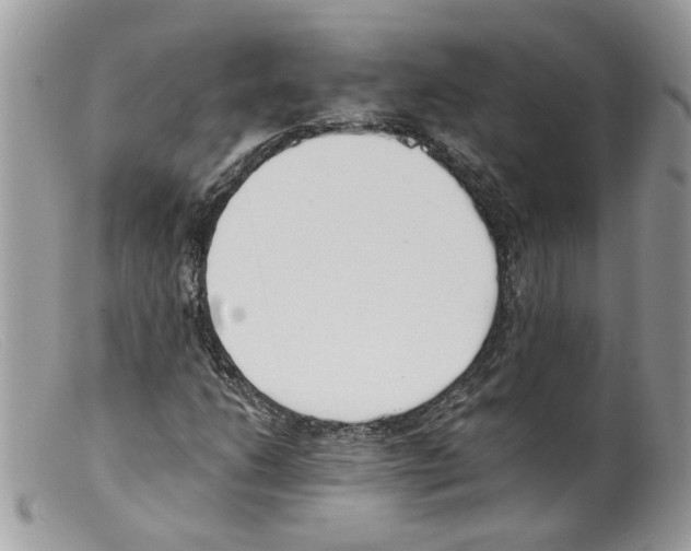 X0000098141206200805151131