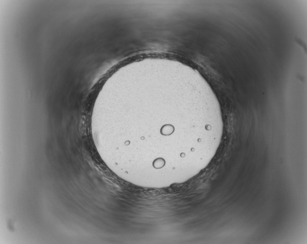 X0000098141208200805151131