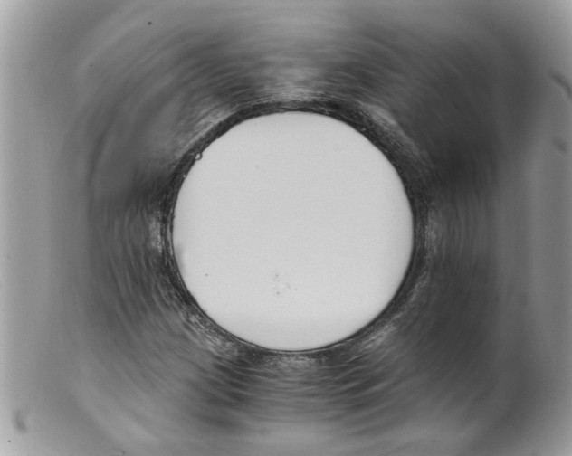 X0000098141209200805151131