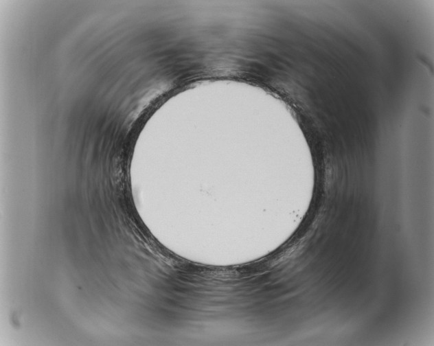 X0000098141210200805151131