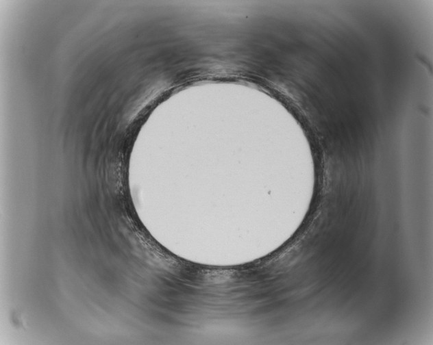 X0000098141211200805151131