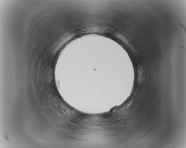 X0000098141213200805151131