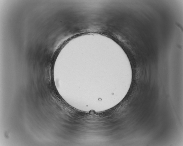 X0000098141214200805151131