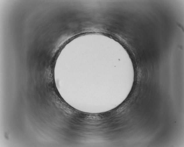 X0000098141215200805151131